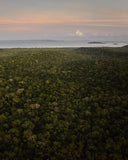 Our environmental impact